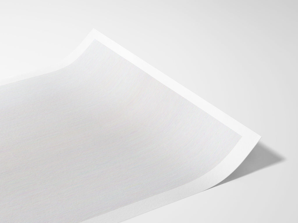 Altered Black and White Photography Print - Neutral Abstract Glitch Wall Art For Living Room, Home, Office | Untitled (257) Giclée Print