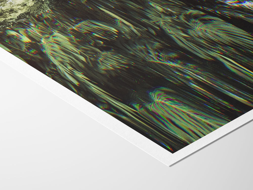 Monstera Plant Art Print - Modern Funky Altered Photo For Plant Lovers, Home, Office, Bedroom, Living Room | Untitled (311) Giclée Print